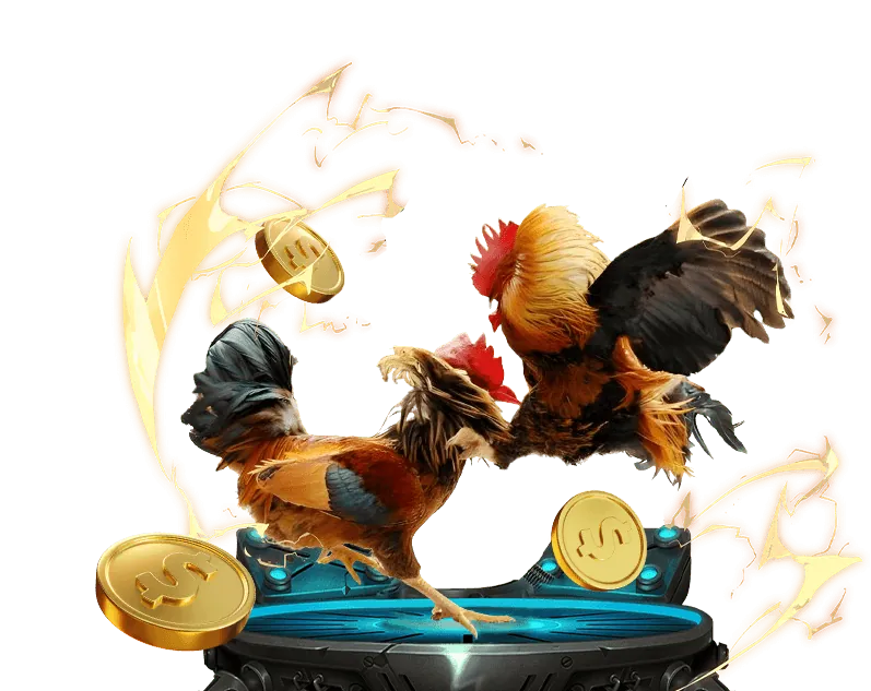 Xem đá gà trực tiếp trên five88 vin